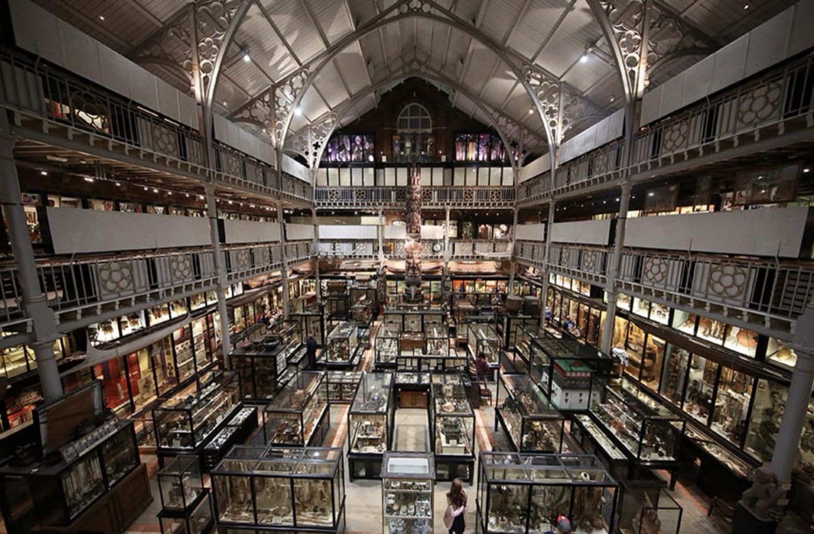 Rows of display cases on several floors of a Victorian museum gallery